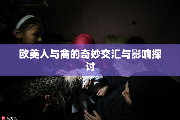 欧美人与禽的奇妙交汇与影响探讨