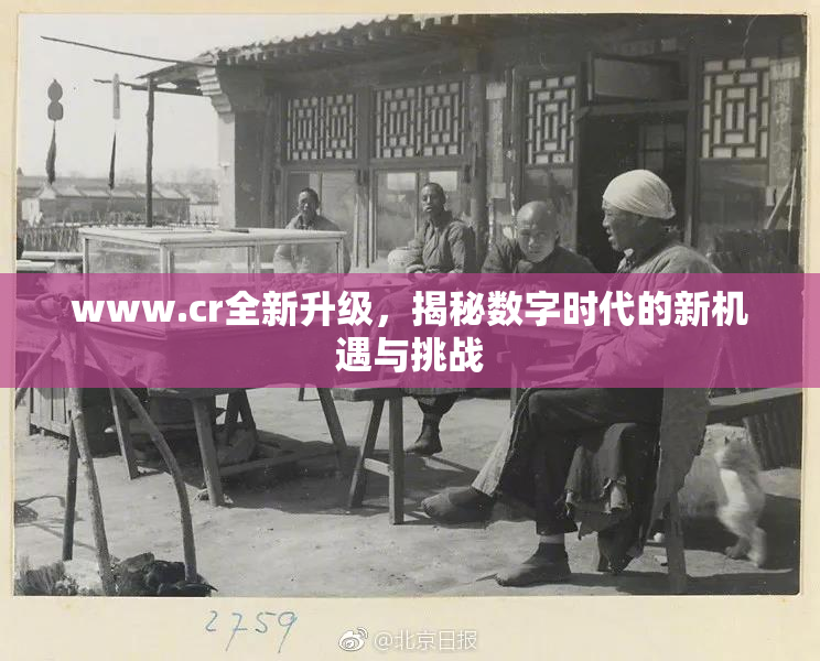 www.cr全新升级，揭秘数字时代的新机遇与挑战