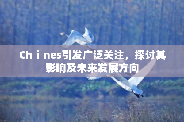 Chⅰnes引发广泛关注，探讨其影响及未来发展方向