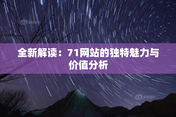 全新解读：71网站的独特魅力与价值分析