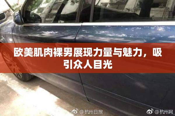 欧美肌肉裸男展现力量与魅力，吸引众人目光