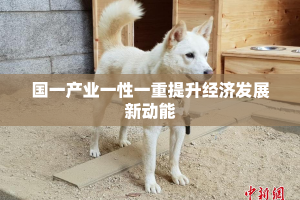 国一产业一性一重提升经济发展新动能