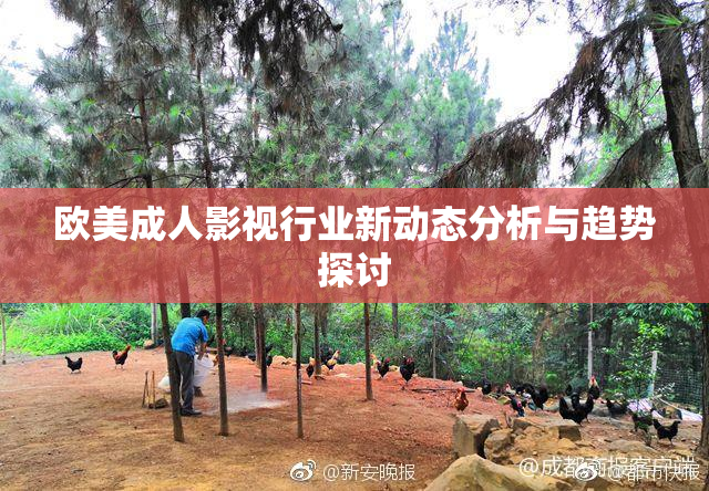 欧美成人影视行业新动态分析与趋势探讨