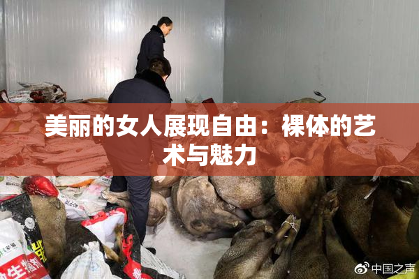 美丽的女人展现自由：裸体的艺术与魅力