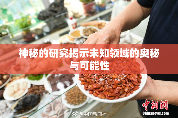 神秘的研究揭示未知领域的奥秘与可能性