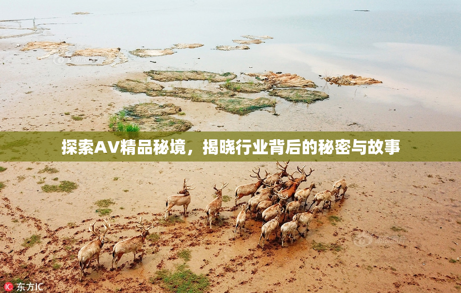 探索AV精品秘境，揭晓行业背后的秘密与故事
