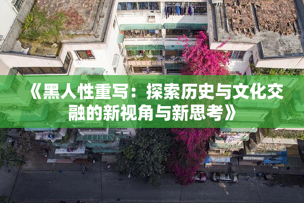 《黑人性重写：探索历史与文化交融的新视角与新思考》