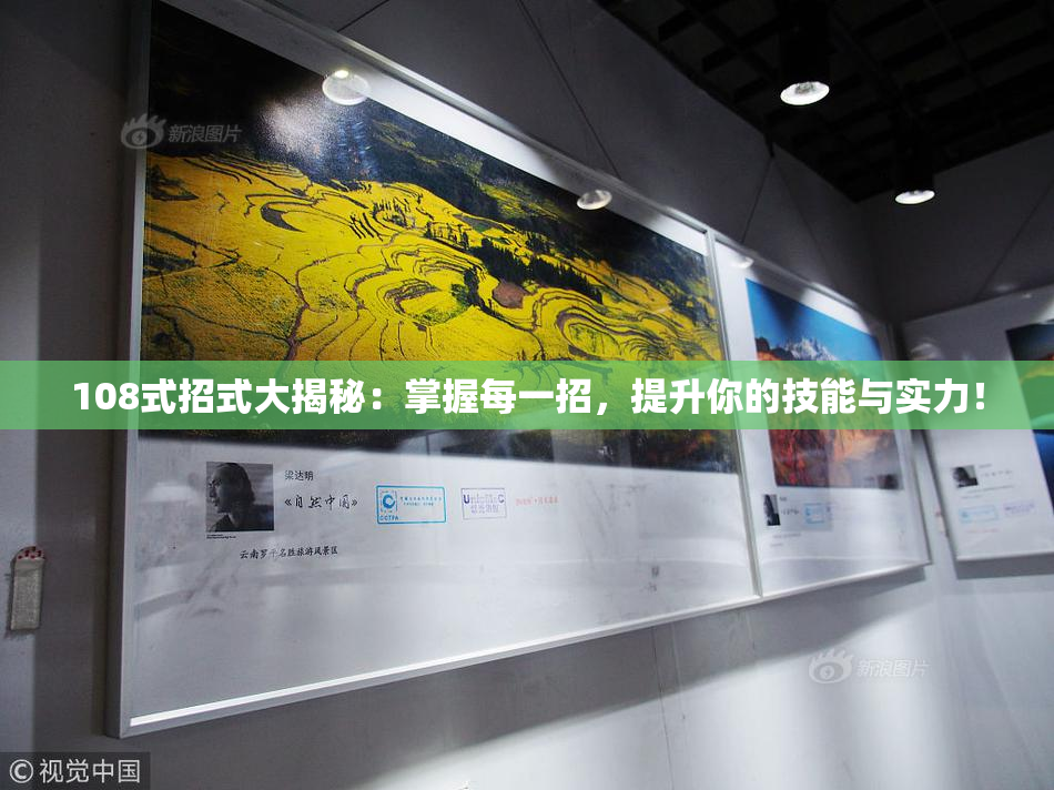 108式招式大揭秘：掌握每一招，提升你的技能与实力！