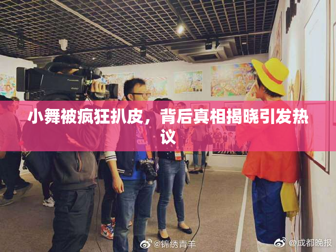 小舞被疯狂扒皮，背后真相揭晓引发热议
