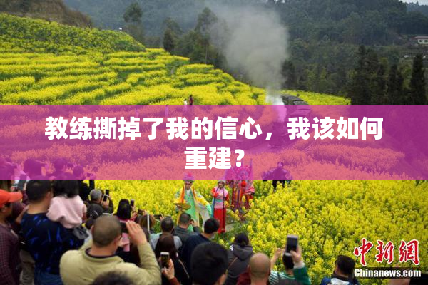 教练撕掉了我的信心，我该如何重建？