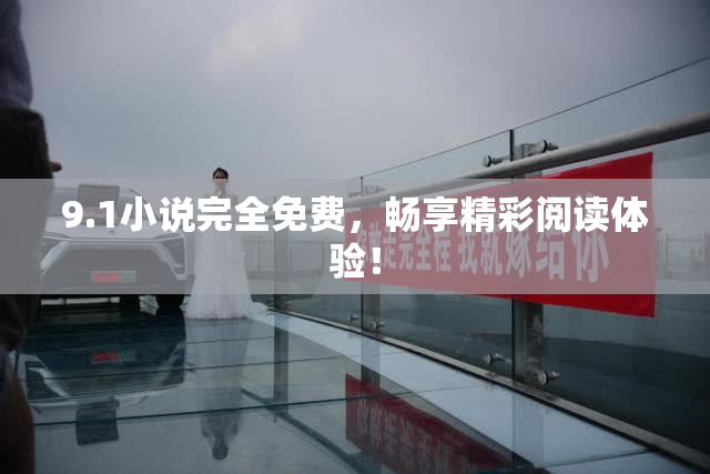 9.1小说完全免费，畅享精彩阅读体验！