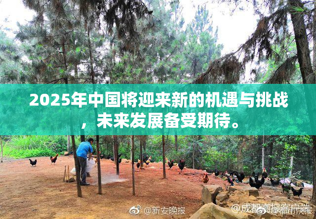 2025年中国将迎来新的机遇与挑战，未来发展备受期待。