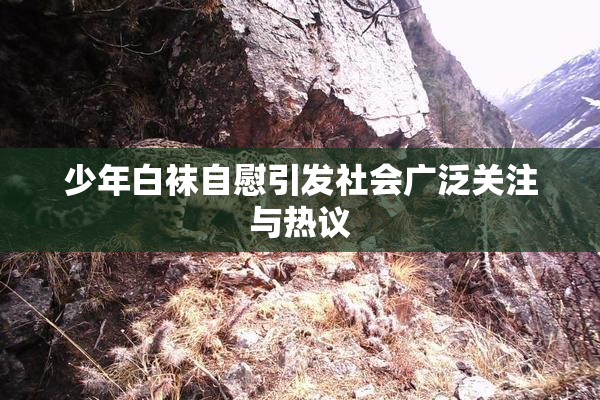 少年白袜自慰引发社会广泛关注与热议