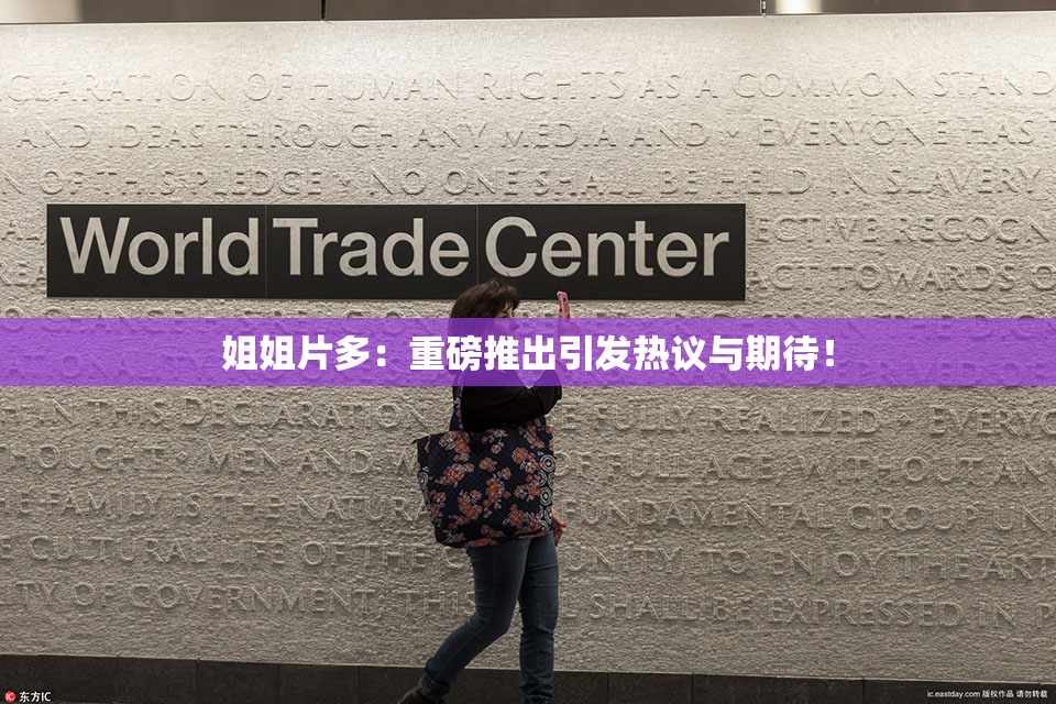姐姐片多：重磅推出引发热议与期待！