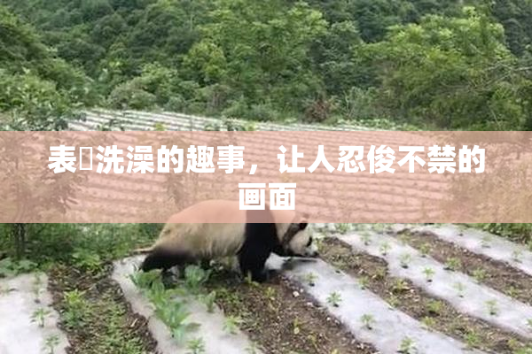 表妺洗澡的趣事，让人忍俊不禁的画面
