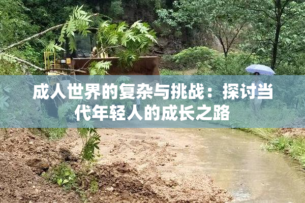 成人世界的复杂与挑战：探讨当代年轻人的成长之路