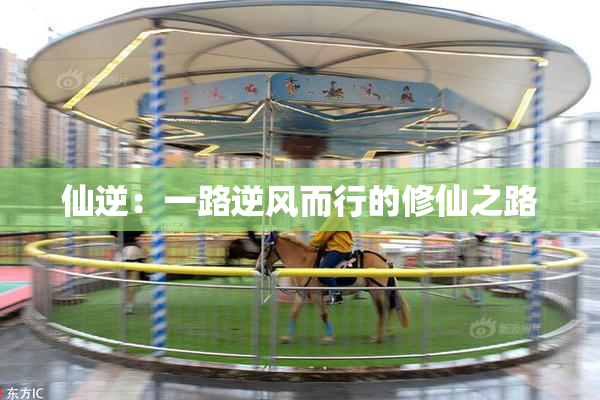 仙逆：一路逆风而行的修仙之路