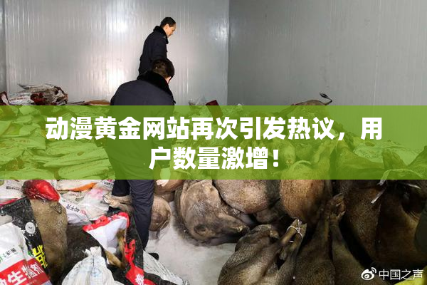 动漫黄金网站再次引发热议，用户数量激增！