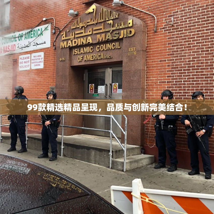 99款精选精品呈现，品质与创新完美结合！