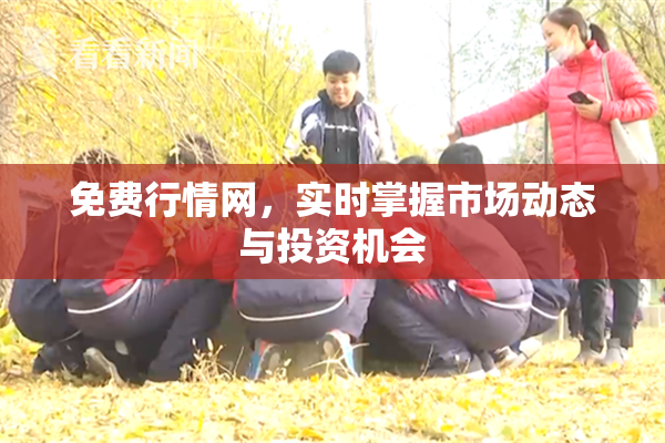 免费行情网，实时掌握市场动态与投资机会