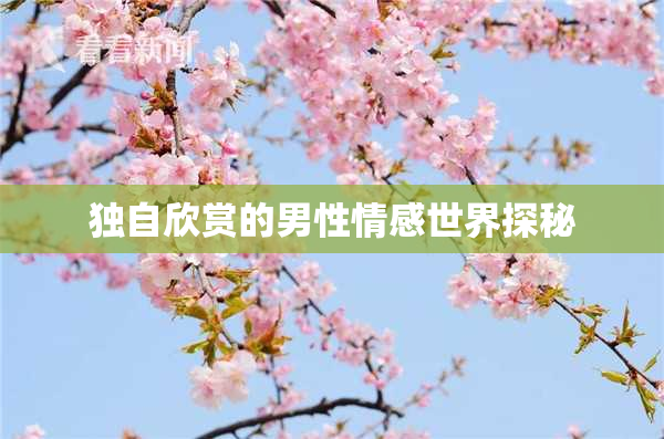 独自欣赏的男性情感世界探秘