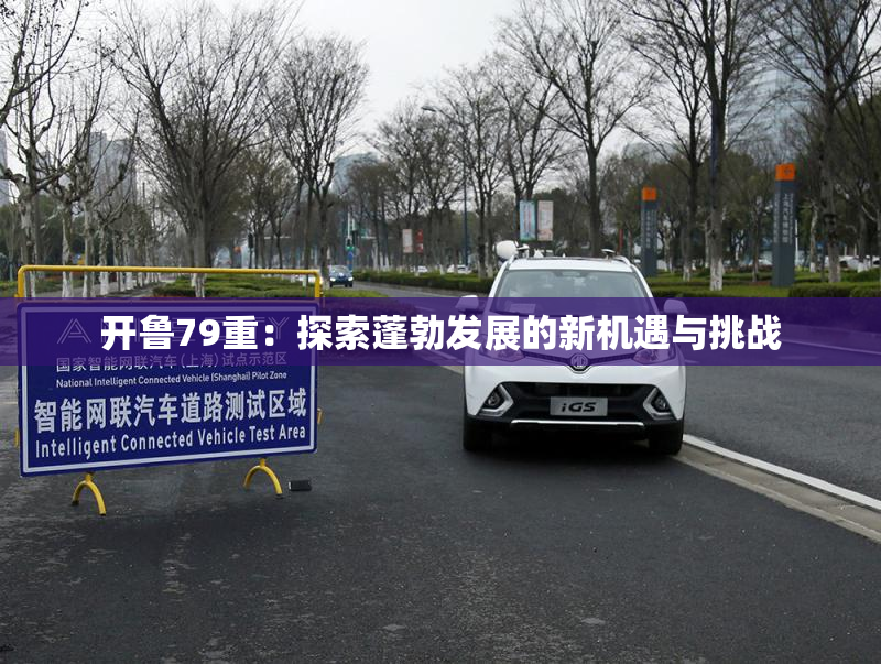 开鲁79重：探索蓬勃发展的新机遇与挑战