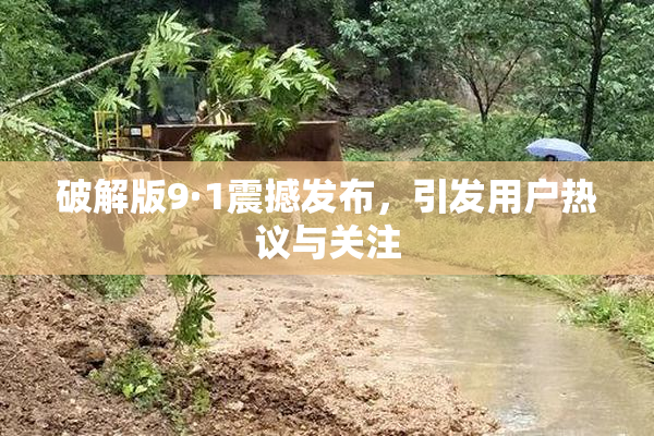 破解版9·1震撼发布，引发用户热议与关注