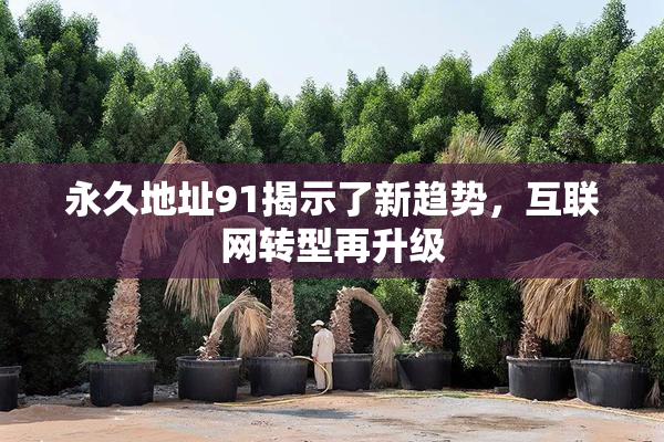 永久地址91揭示了新趋势，互联网转型再升级