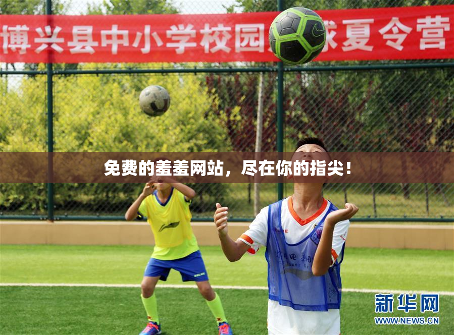 免费的羞羞网站，尽在你的指尖！