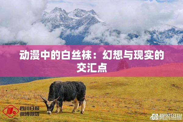 动漫中的白丝袜：幻想与现实的交汇点
