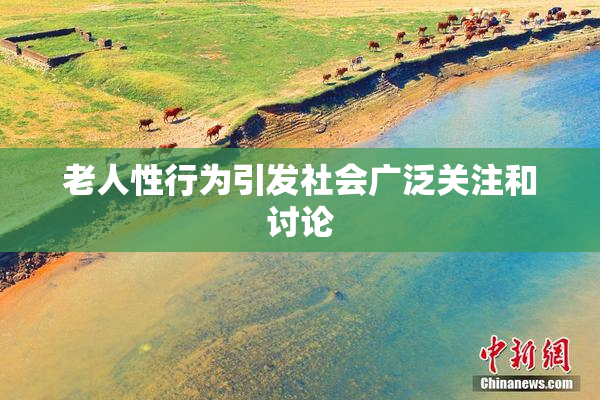 老人性行为引发社会广泛关注和讨论