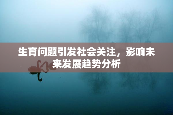 生育问题引发社会关注，影响未来发展趋势分析