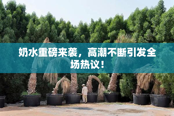 奶水重磅来袭，高潮不断引发全场热议！