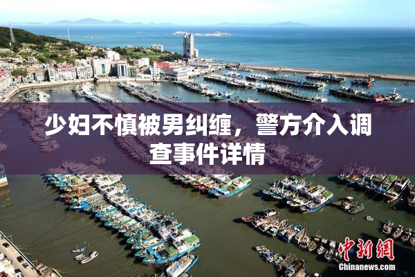 少妇不慎被男纠缠，警方介入调查事件详情