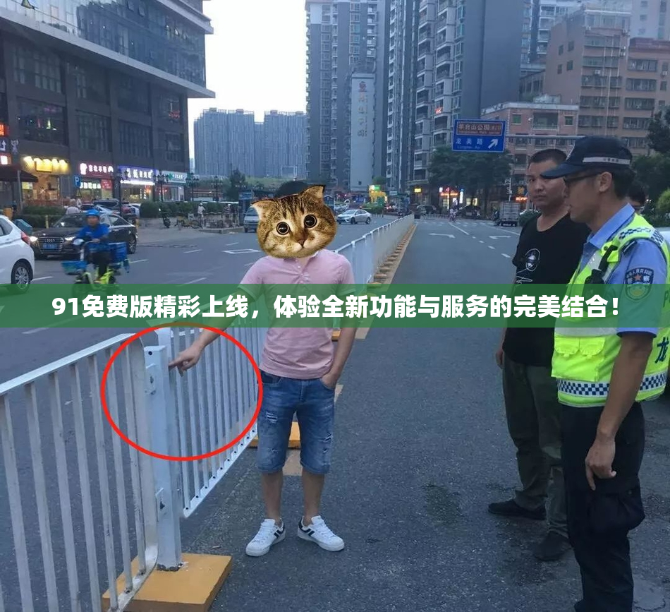 91免费版精彩上线，体验全新功能与服务的完美结合！