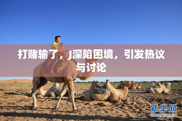 打赌输了，J深陷困境，引发热议与讨论