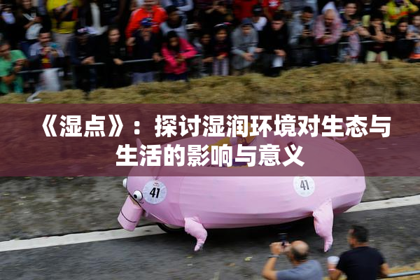 《湿点》：探讨湿润环境对生态与生活的影响与意义