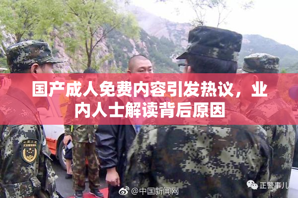 国产成人免费内容引发热议，业内人士解读背后原因
