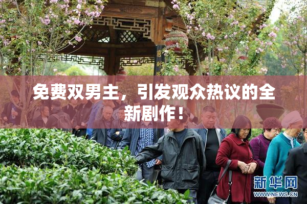 免费双男主，引发观众热议的全新剧作！