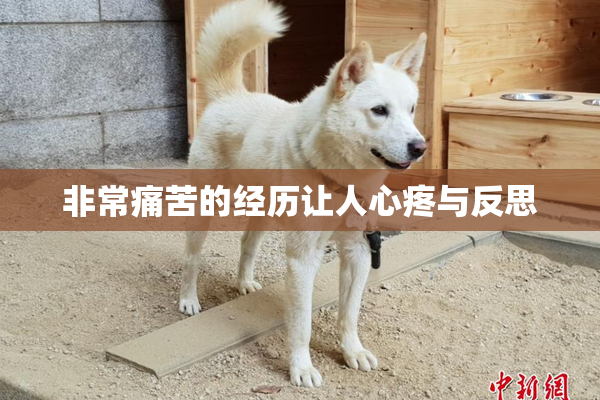 非常痛苦的经历让人心疼与反思