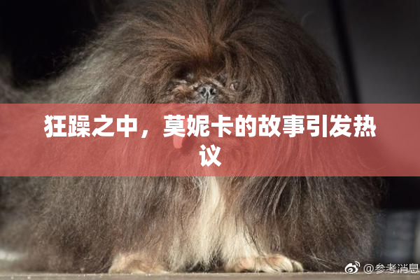 狂躁之中，莫妮卡的故事引发热议
