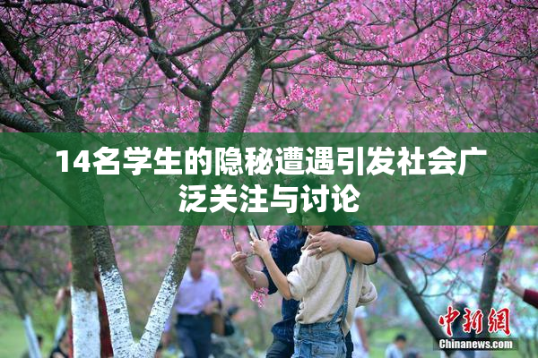 14名学生的隐秘遭遇引发社会广泛关注与讨论