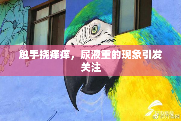 触手挠痒痒，尿液重的现象引发关注