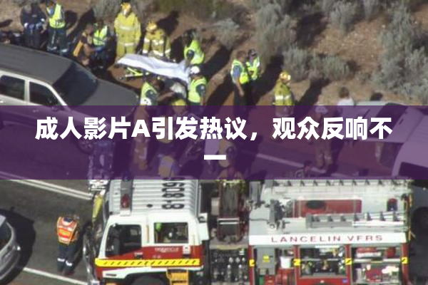 成人影片A引发热议，观众反响不一