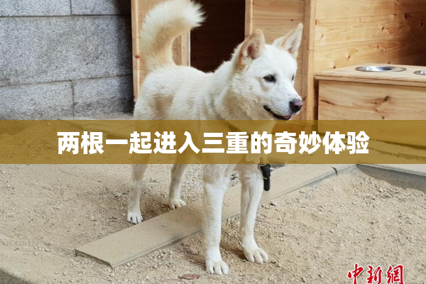 两根一起进入三重的奇妙体验