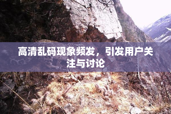 高清乱码现象频发，引发用户关注与讨论