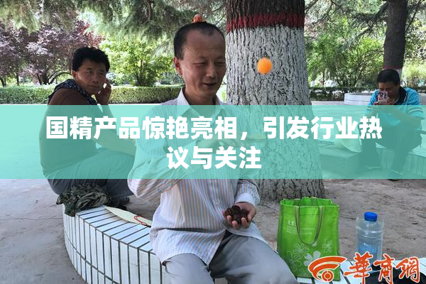 国精产品惊艳亮相，引发行业热议与关注