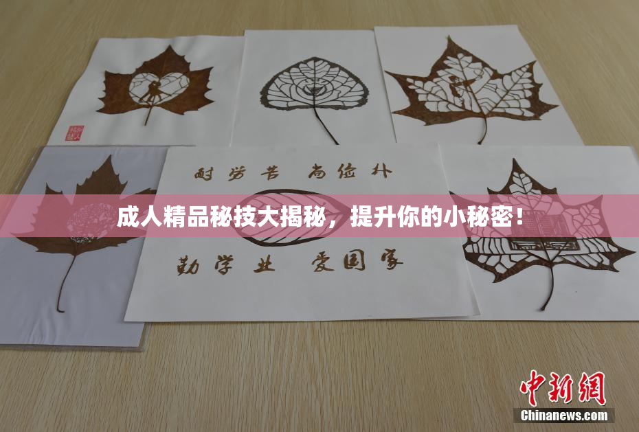 成人精品秘技大揭秘，提升你的小秘密！