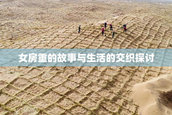 女房重的故事与生活的交织探讨