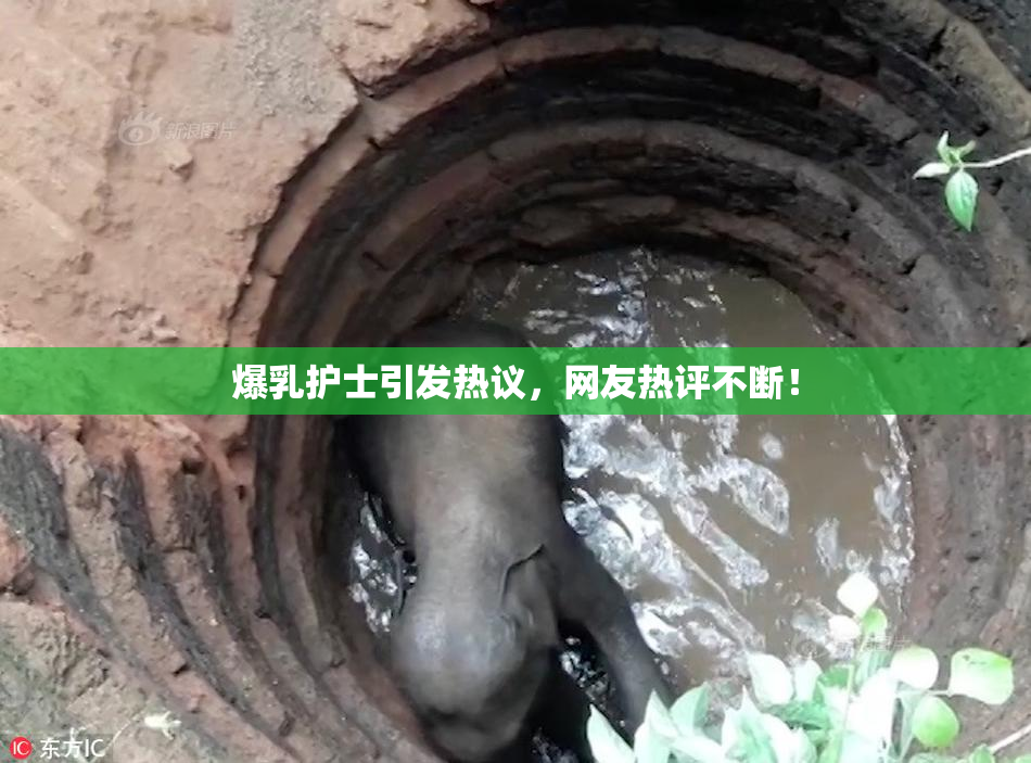 爆乳护士引发热议，网友热评不断！